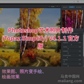 Photoshop艺术照片制作(Topaz Simplify) V4.1.1 官方版