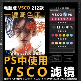 【PS插件】VSCO全滤镜一键调色PS插件下载#Photoshop