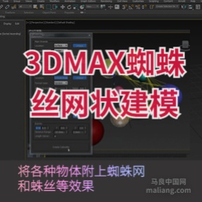 3DMAX蜘蛛丝网状建模插件超强蜘蛛丝Cobwebs 汉化/英文版