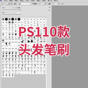 PS110款头发笔刷